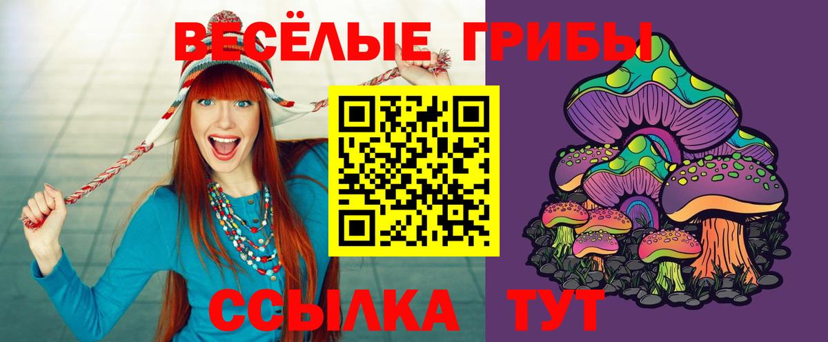 даркнет сайт  Вход с VPN  Галлюциногенные грибы прущие грибы  Сочи  Галлюциногенные грибы Psilocybe 