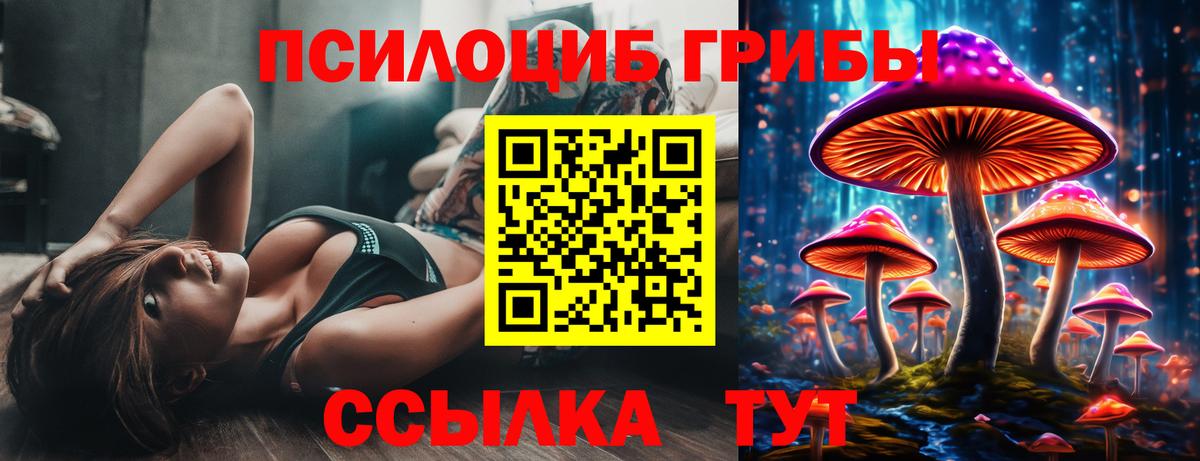 Псилоцибиновые грибы мицелий Сочи